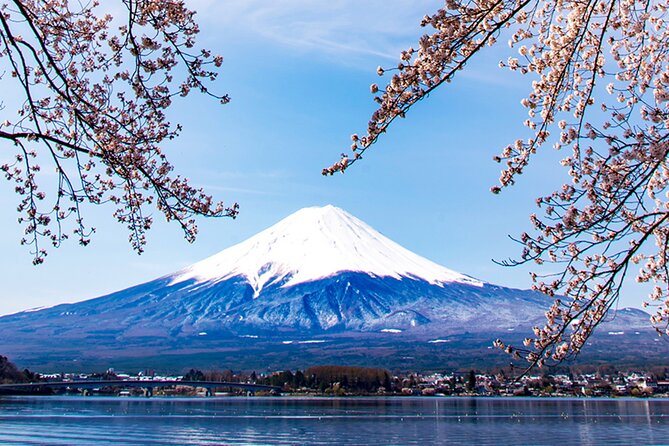 Mt. Fuji, Mt Fuji Panoramic Ropeway & Seasonal Fruits Picking - Ropeway Experience