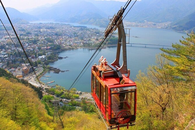 Mt. Fuji, Mt Fuji Panoramic Ropeway & Seasonal Fruits Picking - Seasonal Fruits Picking