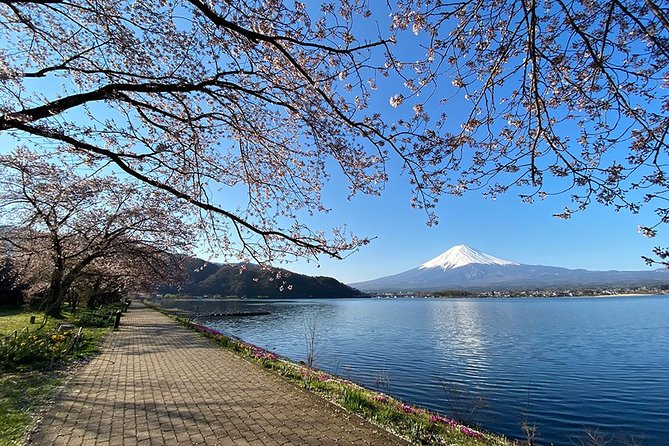 Mt Fuji Wineries Half-Day Tour - Just The Basics