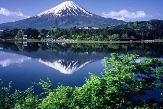 Full Day Private Tour To Mount Fuji Assisted By English Chauffeur - Ratings and Reviews Overview