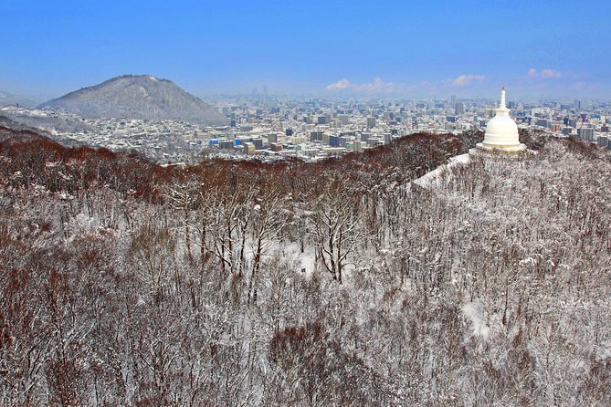 Mt. Moiwa Ropeway / Moriscar Ticket - Final Words