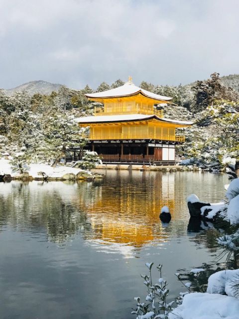 Kyoto: Kinkakuji, Kiyomizu-dera, and Fushimi Inari Tour - Customer Reviews