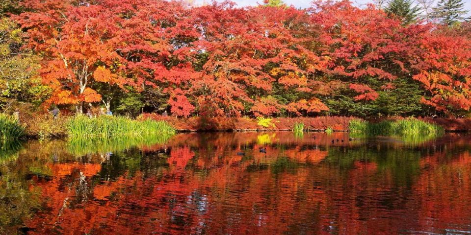 Tokyo:Karuizawa,Hoshino Resorts Area,Glacier Shrine Day Tour - Final Words