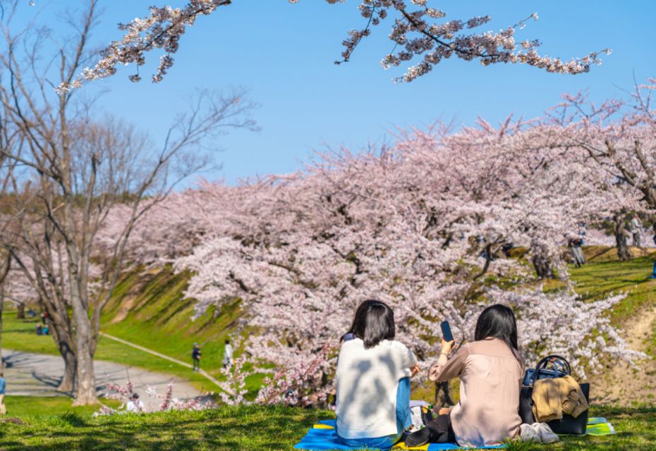 Private & Unique Nagasaki Cherry Blossom "Sakura" Experience - Experience Highlights