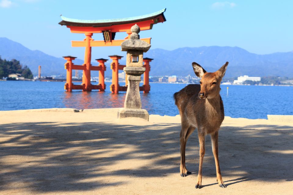 Hiroshima and Miyajima 1-Day Bus Tour With Indian Lunch - Frequently Asked Questions