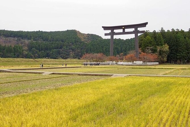 Kumanokodo 2 Day Walking Tour From Osaka - Just The Basics