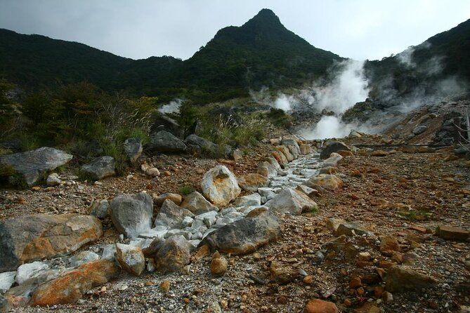 Mt. Fuji 5th Station, Owakudani Ropeway, Pirate Ship Plus Outlet Shopping! - Pirate Ship Cruise