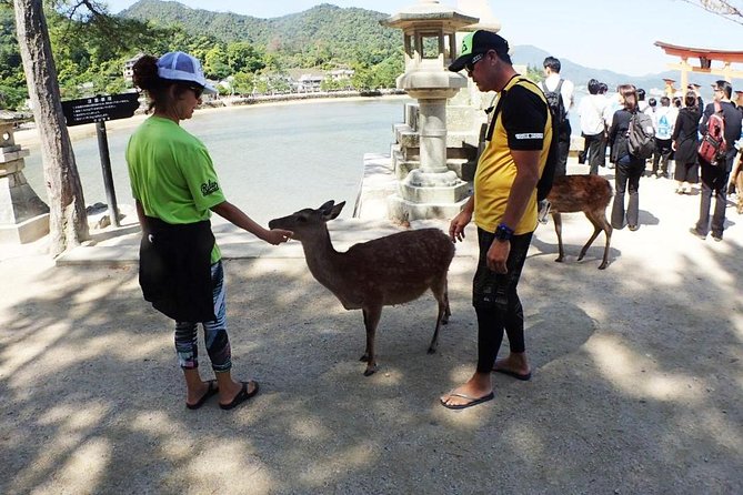 SUP Tour to See the Great Torii Gate of the Itsukushima Shrine up Close - Accessibility and Safety Considerations