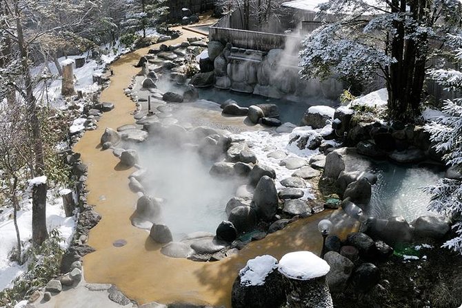 Shirakawago(Unesco World Heritage)/ Onsen / Hiking / 1day Tour - Cancellation Policy