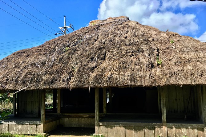 Half-Day Walking Tour to Indigenous Iriomote Village (Mar ) - Pickup Details and Cancellation Policy