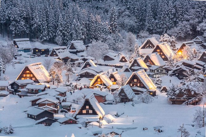 Private Tour of Shirakawago From Kanazawa (Half Day) - Tour Guide Expertise