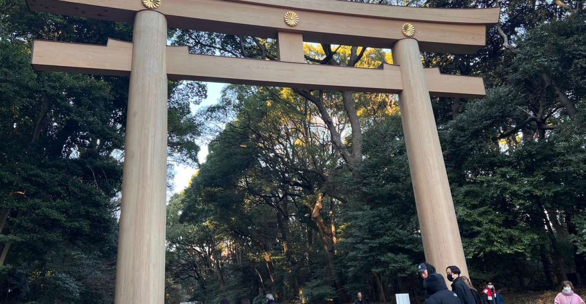 Tokyo Harajuku Meiji Jingu Shrine 1h Walking Tour - Booking Information