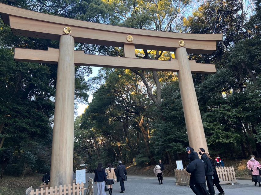 Tokyo Harajuku Meiji Jingu Shrine 1h Walking Tour - Just The Basics