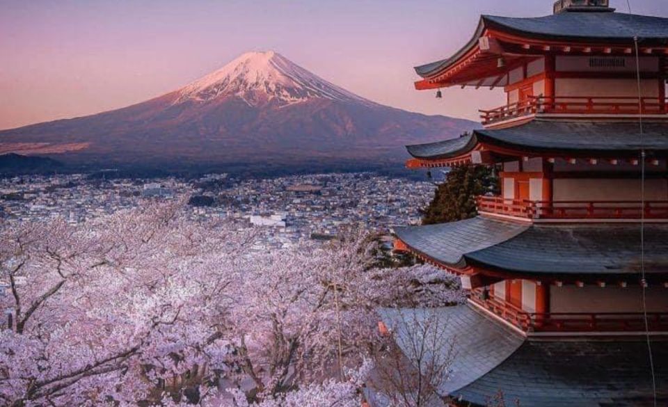 From Tokyo: MT Fuji Hakone Owakudani Valley Private Tour - Cancellation and Booking Policy