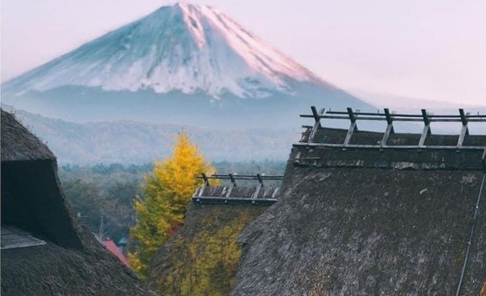 From Tokyo: MT Fuji Hakone Owakudani Valley Private Tour - Just The Basics