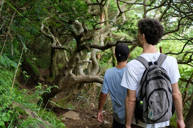 Traverse Outer Rim of Hakone Caldera and Enjoy Onsen Hiking Tour - Safety and Etiquette Tips