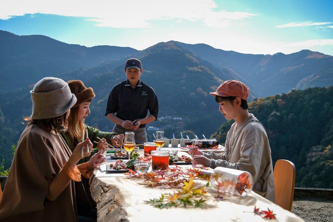 Private Multi Day Tour in Tokushima Miyoshi - Optional Activities and Upgrades