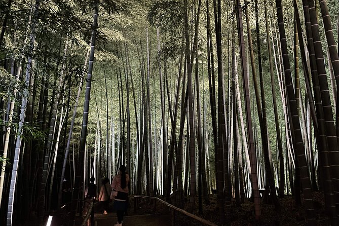 Kyoto Golden Route 1 Day Bus Tour From Osaka or Kyoto - Additional Information and Considerations