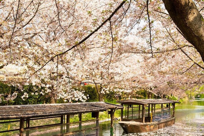 Hakone Private & Customizable Full-Day Car & Driver Service (Mar ) - Pickup and Return Information