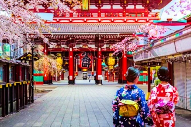Private Tokyo Tour With English Speaking Guide: Tailored to You ! - Reviews and Ratings
