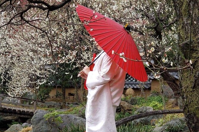 Private Tokyo Tour With English Speaking Guide: Tailored to You ! - Tour Inclusions