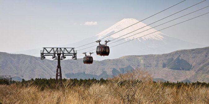 Private Hakone Sightseeing Tour With English Speaking Chauffeur - Just The Basics