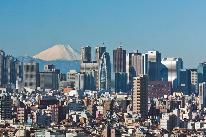 Tokyo Departure Private Transfers From Tokyo City to Tokyo-Narita Airport NRT - Wheelchair Accessibility