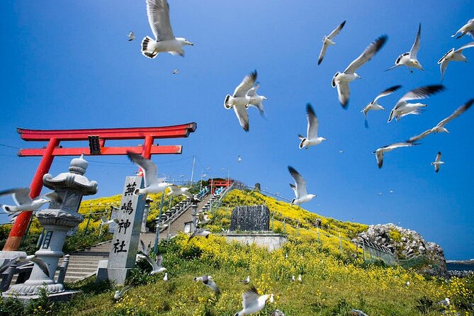 Hachinohe Half-Day Private Trip With Government-Licensed Guide - Private Tour Details