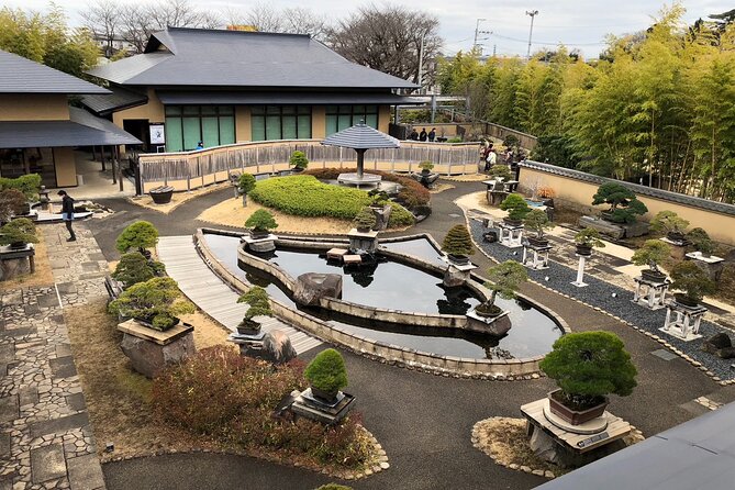 Omiya Bonsai Private Tour - Just The Basics