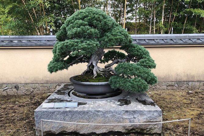 Omiya Bonsai Private Tour - Frequently Asked Questions