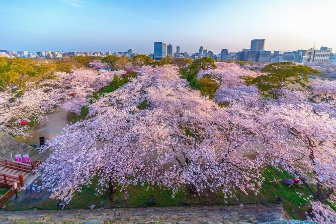 Maizuru Full-Day Private Tour With Government-Licensed Guide - Cancellation Policy