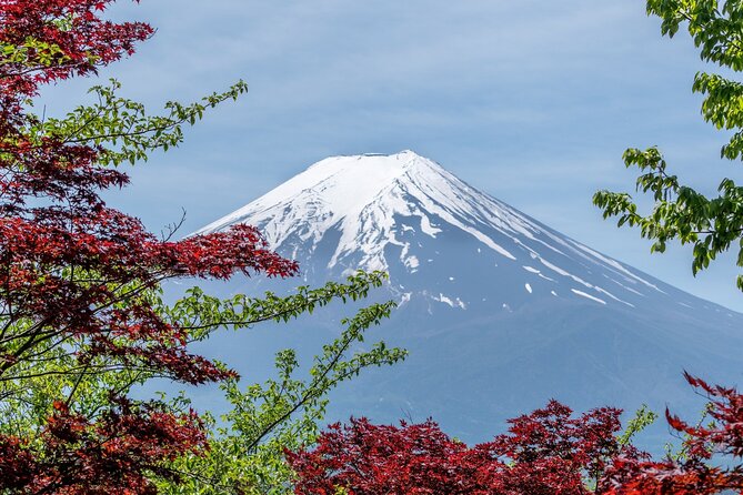 9-Day Japan and South Korea Highlight Tour - Booking Information