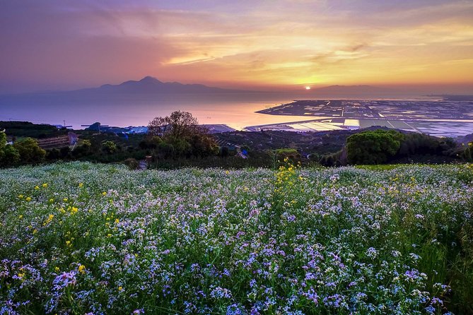 Kumamoto Custom Full Day Tour - Customization Options Available