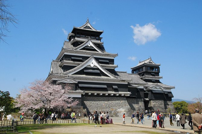 Kumamoto Custom Full Day Tour - Final Words