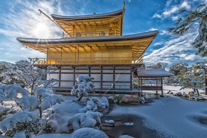 Japan Full Day Guided Mini Van Tour  - Sennichimae - Tour Duration and Details
