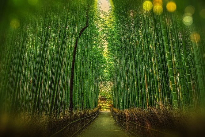 Japan Full Day Guided Mini Van Tour  - Sennichimae - Additional Tour Information