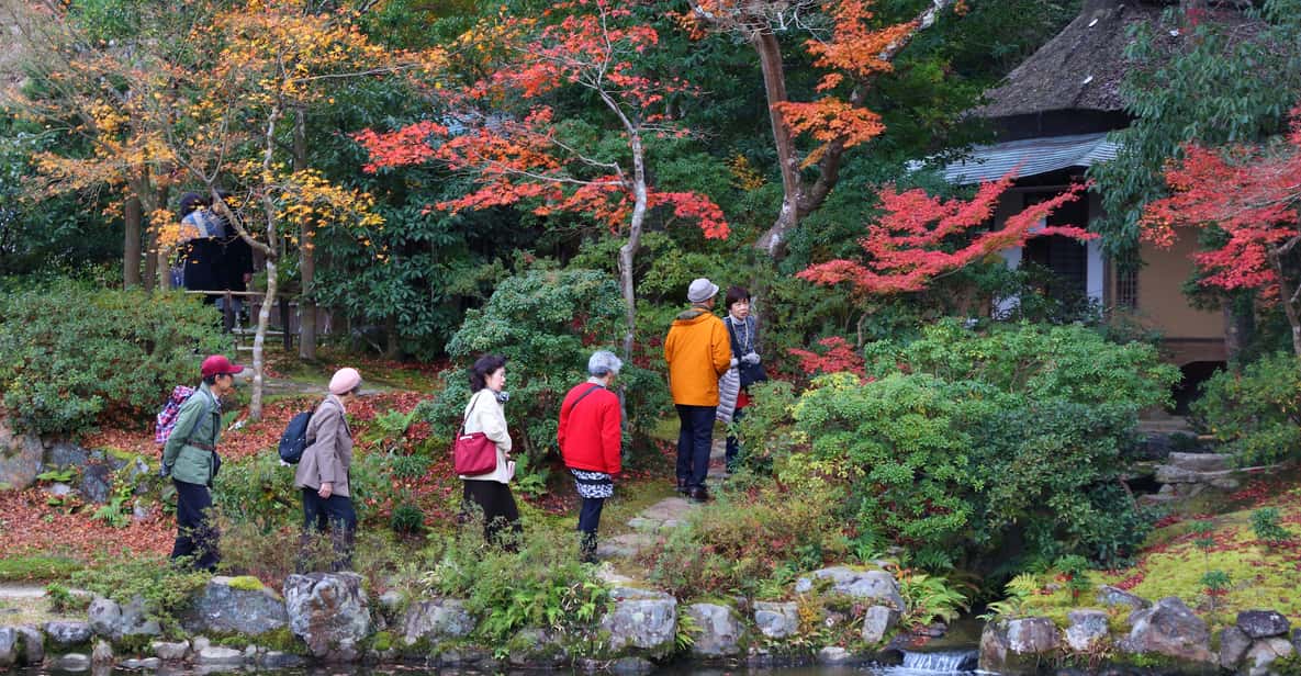 From Kyoto or Osaka: Private Walking Tour Through Nara - Experience Highlights