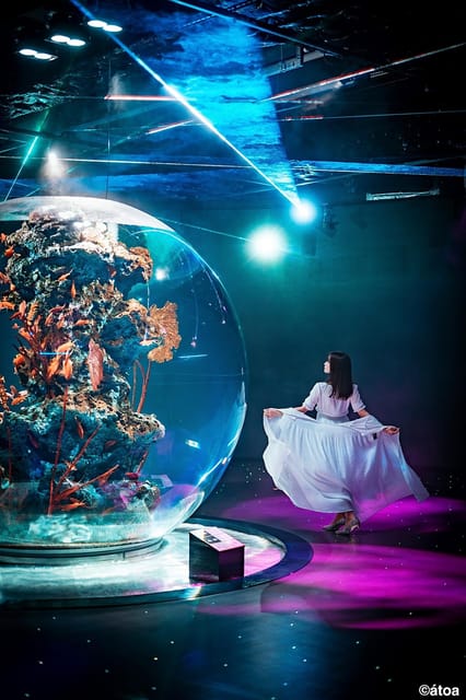 Kobe Urban Aquarium Aquarium×art Átoa Admission Ticket - Inclusions