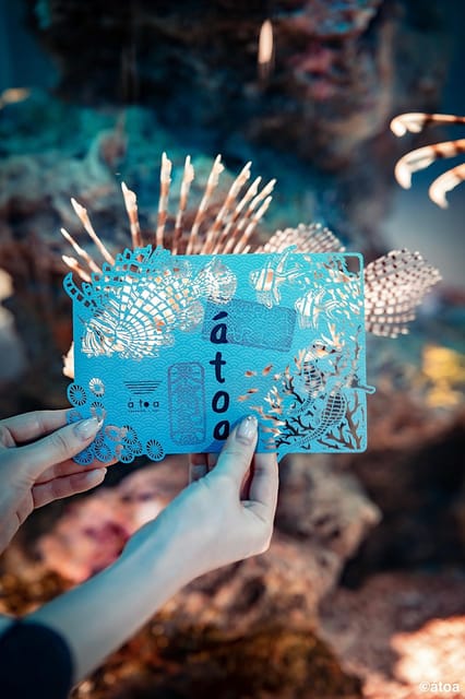 Kobe Urban Aquarium Aquarium×art Átoa Admission Ticket - Final Words