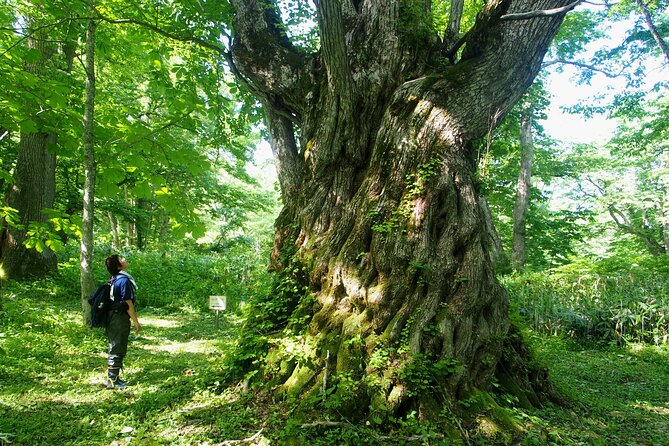 Full Day North Nagano Hiking Experience - Frequently Asked Questions