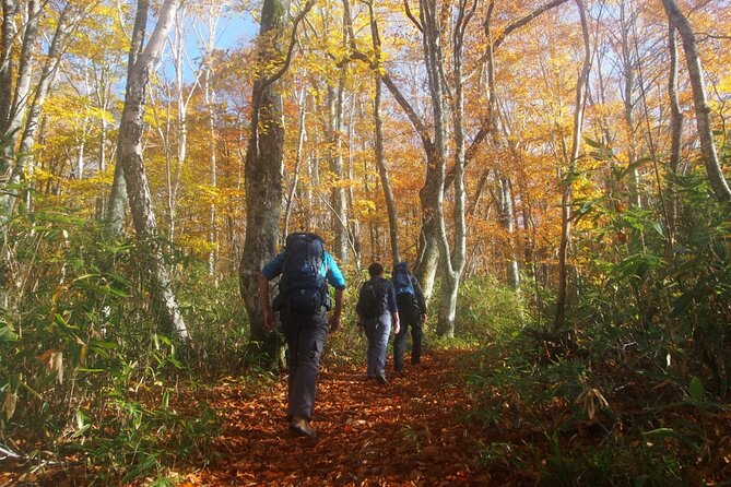 Full Day North Nagano Hiking Experience - Final Words