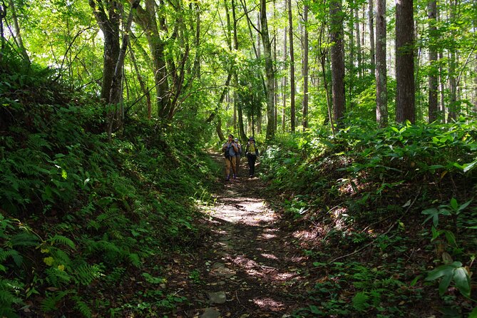 Full Day North Nagano Hiking Experience - Wildlife Encounters