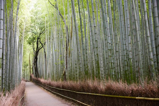 Visit the Lushan Area (On Foot, by Tram) - Just The Basics