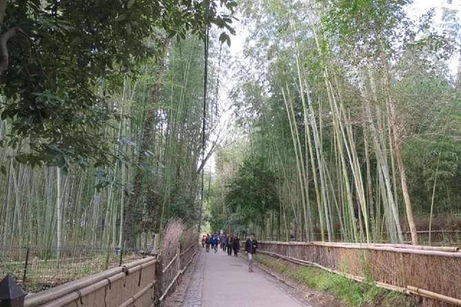 Visit the Lushan Area (On Foot, by Tram) - Capturing Lushans Charm
