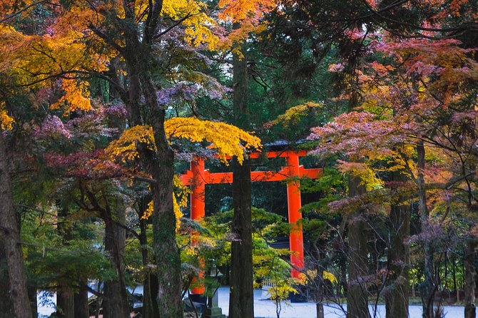 Kagoshima Custom Half Day Tour - Booking and Refund Procedures