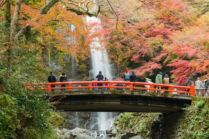 Osaka Private Food Tours by Local Foodies: 100% Personalized - Additional Services Available