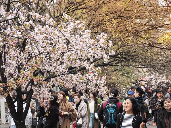 Osaka Private Food Tours by Local Foodies: 100% Personalized - Pricing Structure