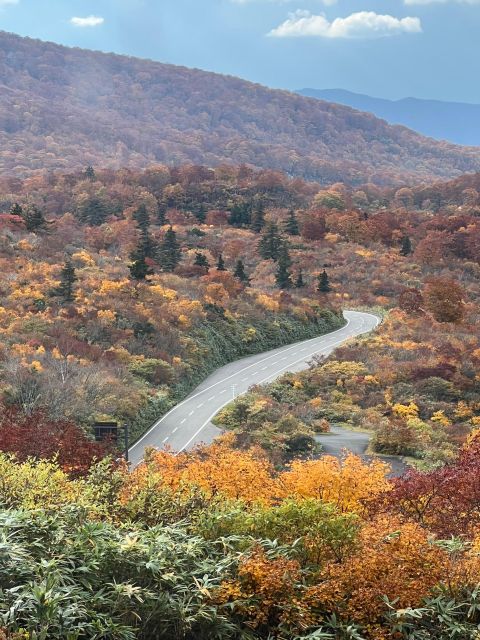 Driving Support in Akita - Just The Basics