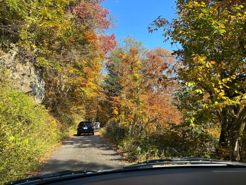 Driving Support in Akita - Experience Highlights