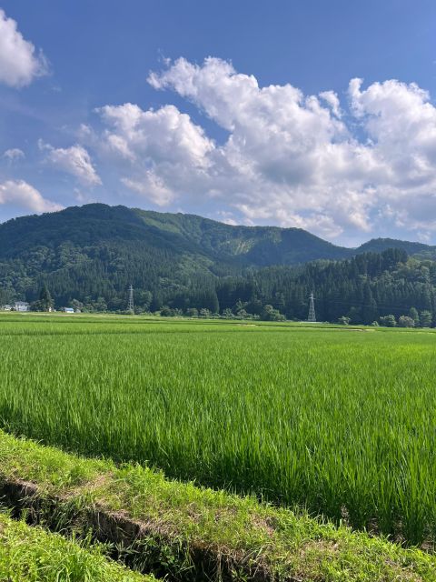 Driving Support in Akita - Final Words